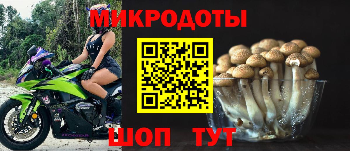 Псилоцибиновые грибы прущие грибы  Вход с VPN  Вичуга 